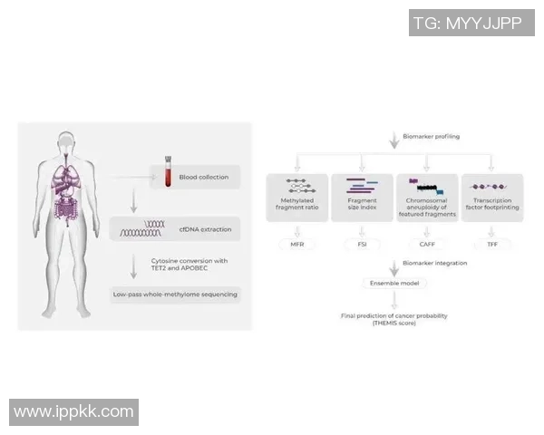 广州排球队团队协作表现的数据分析与提升策略研究
